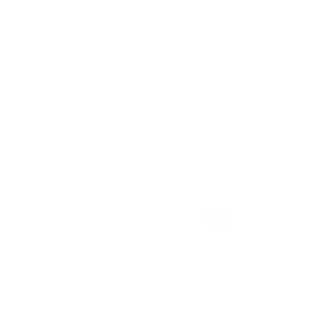 Das ist das Logo vom Squash-Club Achim-Baden